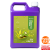 kiwi1 1.png