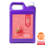 malina1 1.png