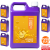 ananas 9.png