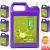 jablko 9.png