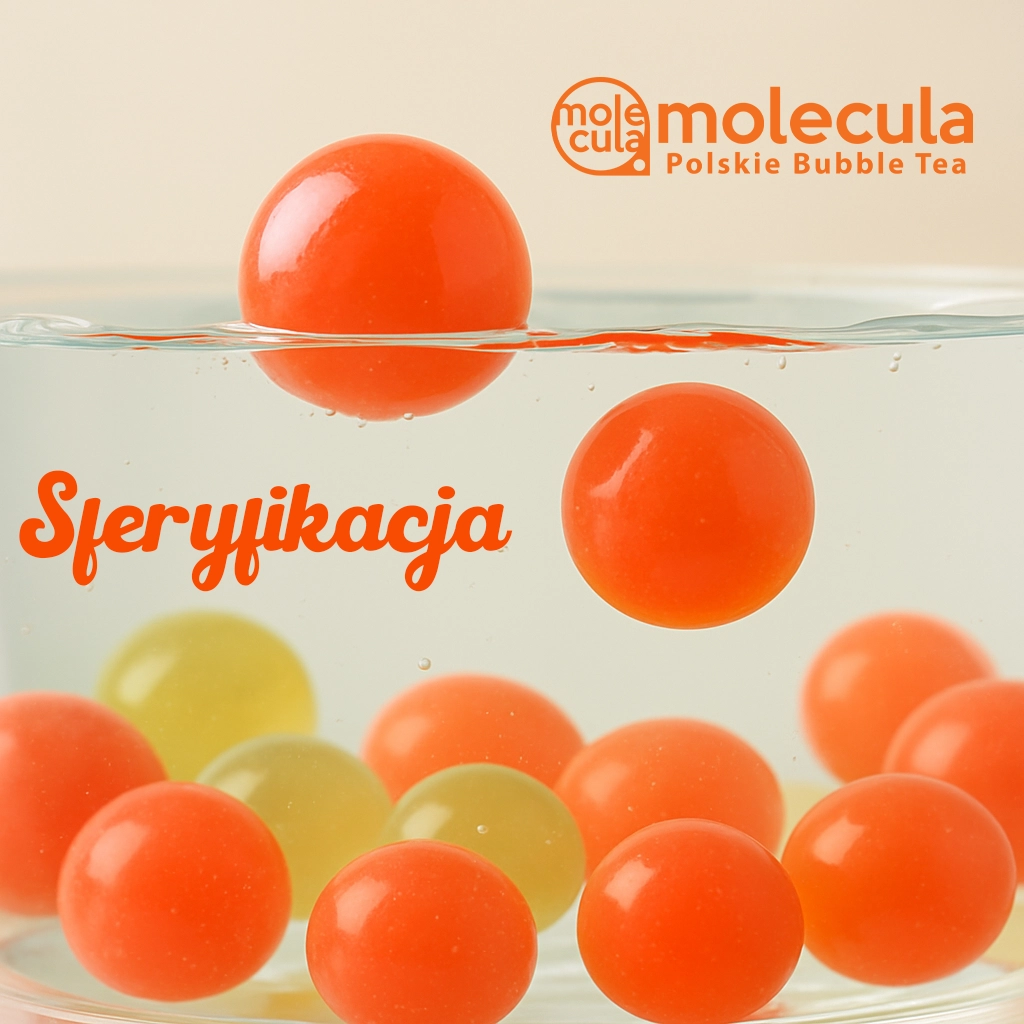 Warsztaty Molecula Sferyfikacja
